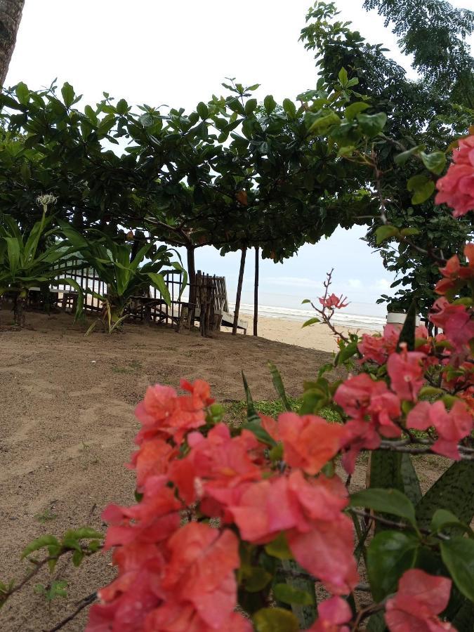 Akoya Beach Park And Cottages Locaroc 外观 照片